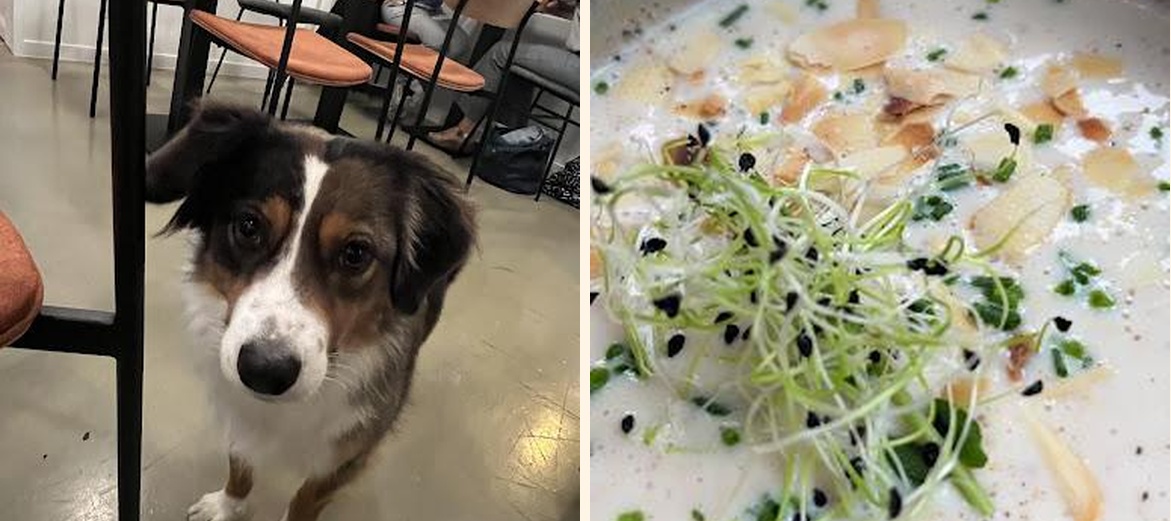 Les Raffs - Gallery Image 5